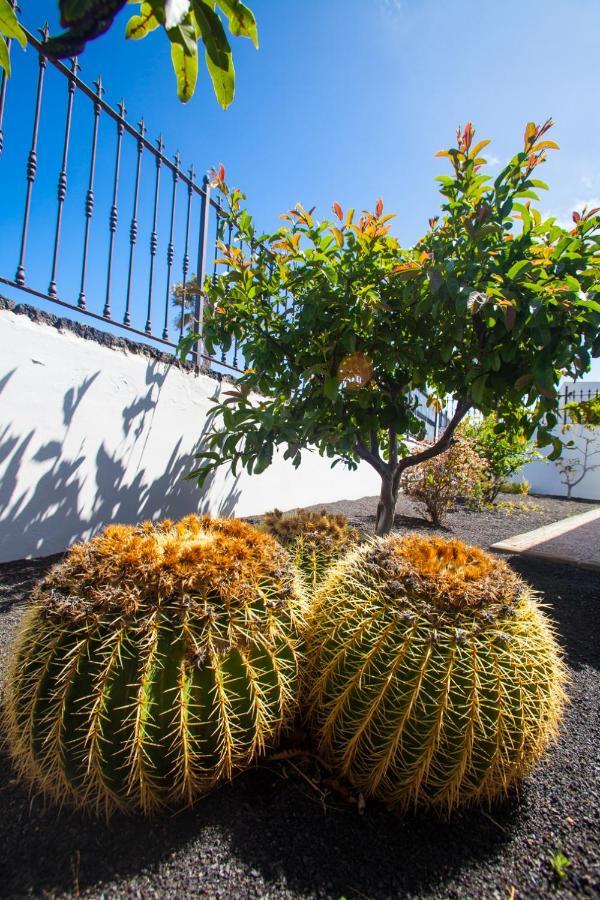Alizuth Villa Puerto del Carmen  Esterno foto